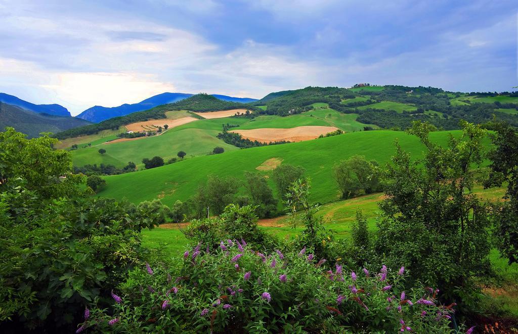 Ca' Le Suore Cagli Bagian luar foto