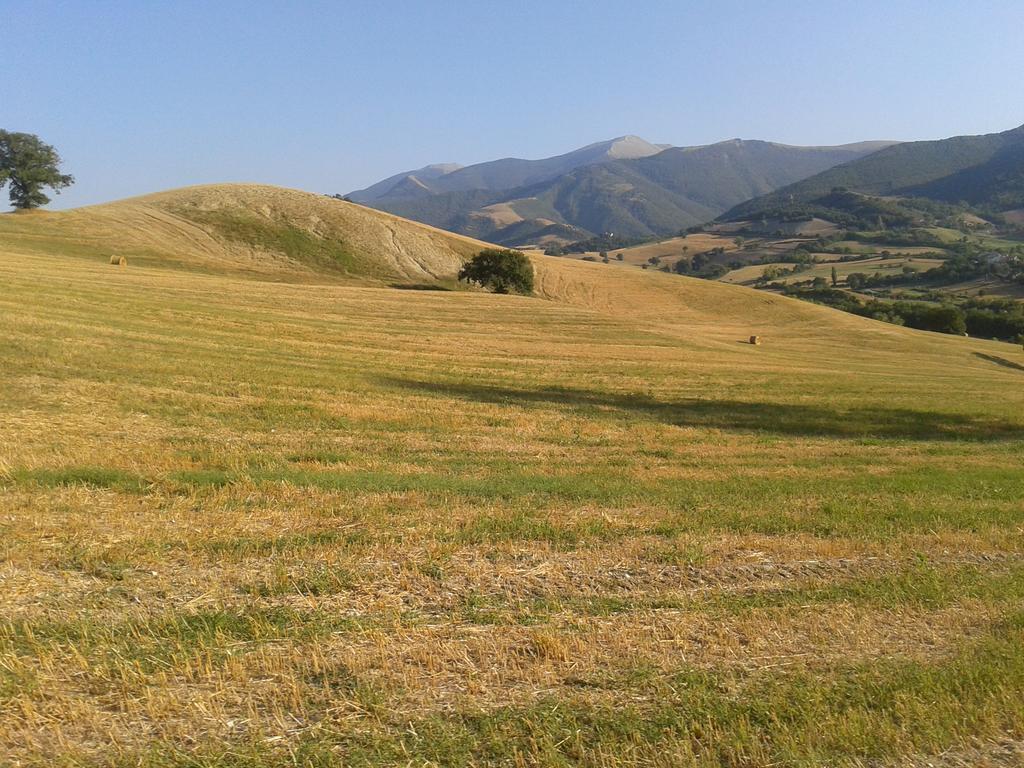 Ca' Le Suore Cagli Bagian luar foto